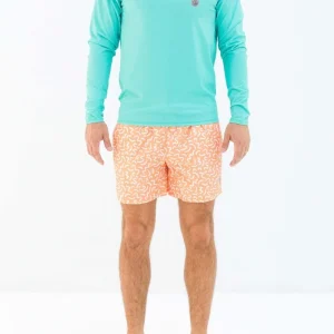 RASHGUARD HOMBRE MANGA LARGA - Verde