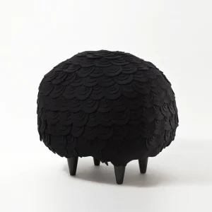 Ovelha Negra